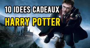 10 idées cadeaux Harry Potter